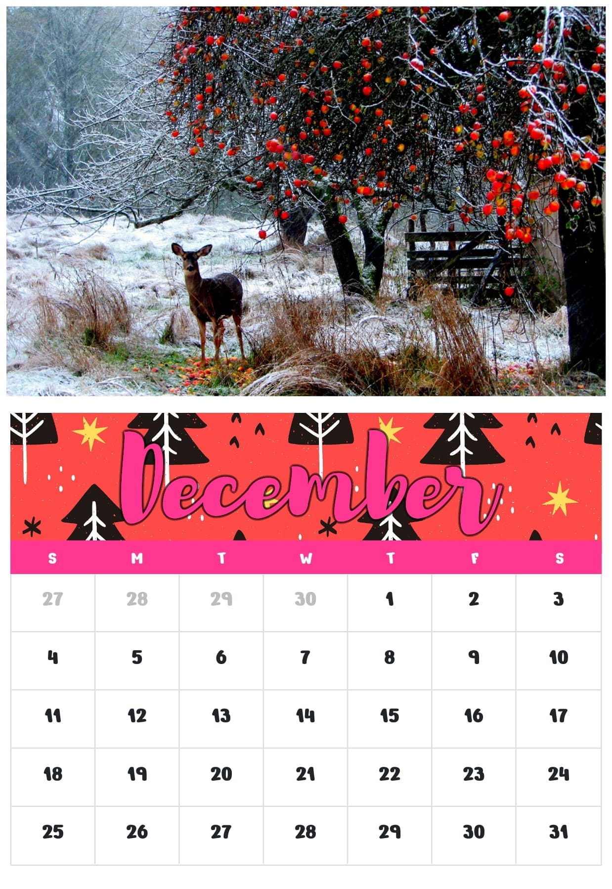 Custom Calendar Maker, make your own photo calendars for 2025